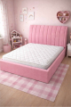 Ferrara 5.png